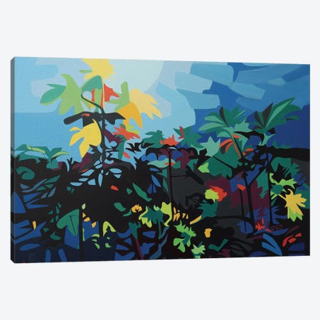 Plant Landscape Canvas Print #CCZ30} by Christophe Carlier Canvas Wall Art
