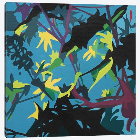 Foliage Colors II Canvas Print #CCZ33} by Christophe Carlier Canvas Art