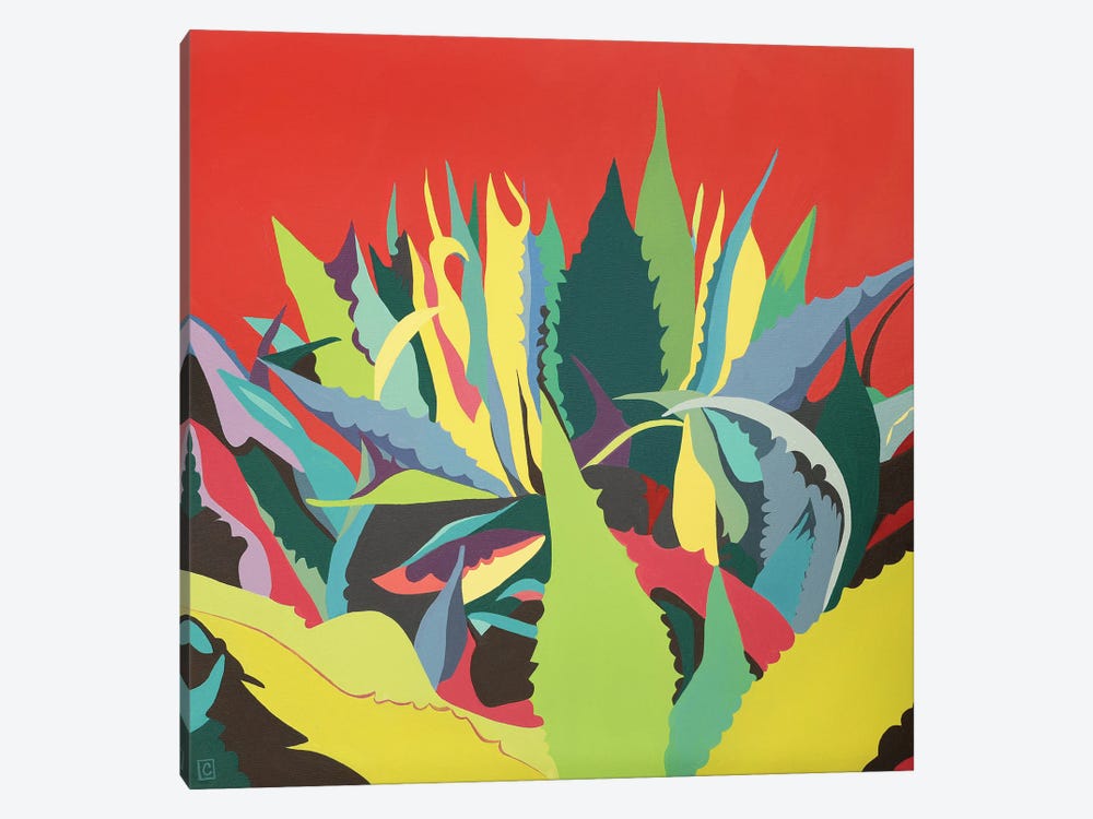 Maguey Plant On Red Background by Christophe Carlier 1-piece Canvas Artwork