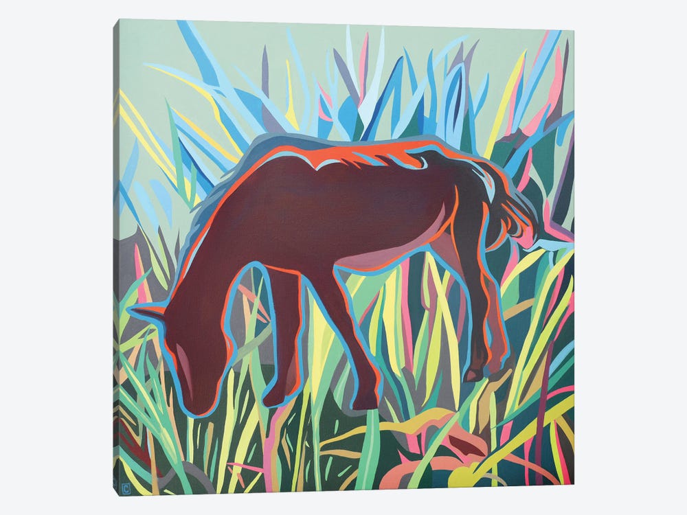 Horse Feeling by Christophe Carlier 1-piece Canvas Art Print