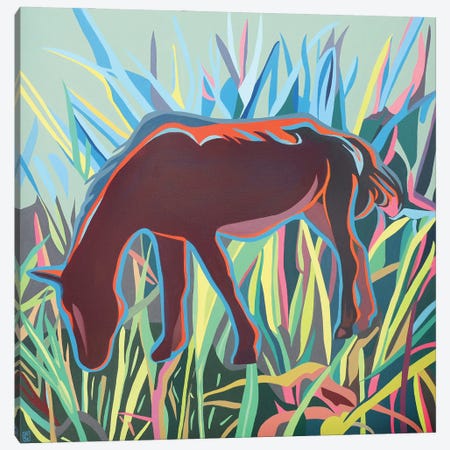 Horse Feeling Canvas Print #CCZ38} by Christophe Carlier Canvas Art