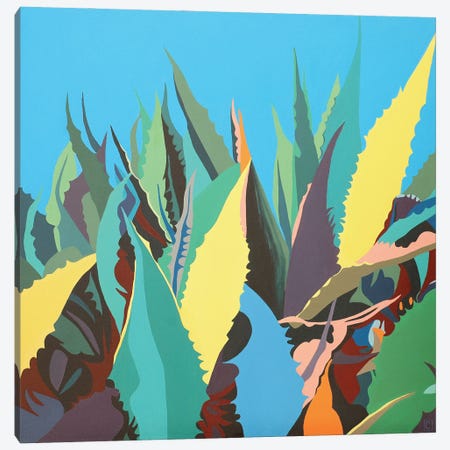 Maguey Plant On A Blue Background Canvas Print #CCZ39} by Christophe Carlier Canvas Artwork