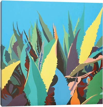 Maguey Plant On A Blue Background Canvas Art Print - Christophe Carlier