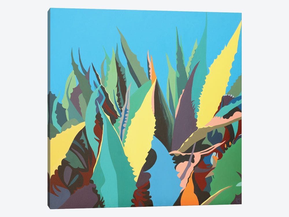 Maguey Plant On A Blue Background by Christophe Carlier 1-piece Canvas Wall Art