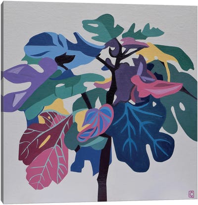 Fig Tree Study Canvas Art Print - Christophe Carlier