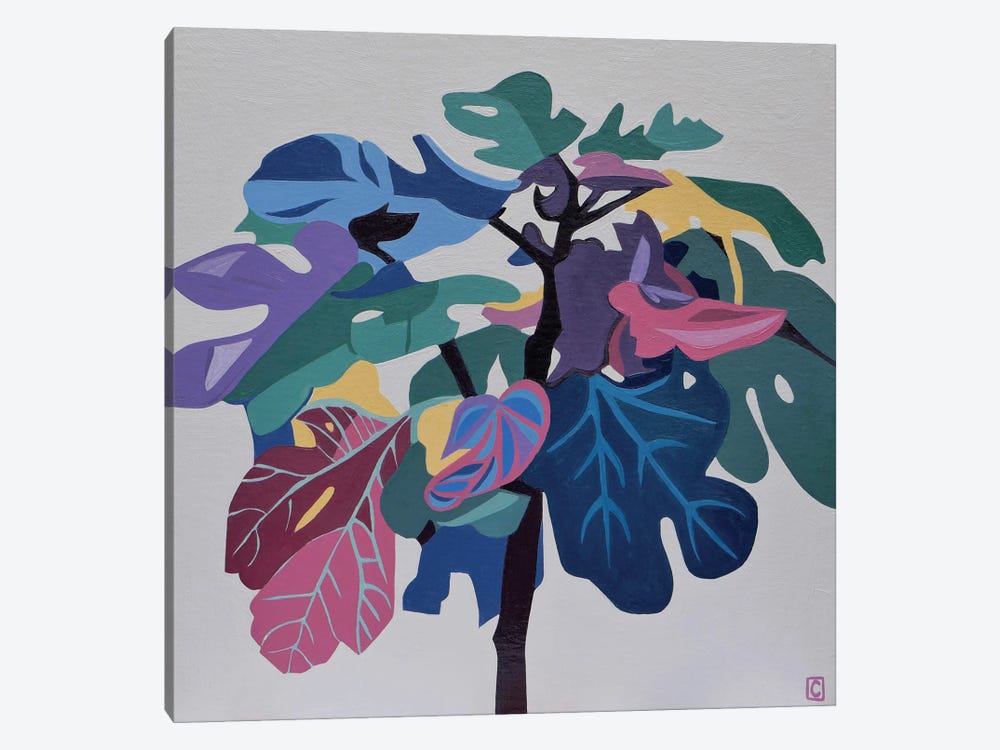 Fig Tree Study by Christophe Carlier 1-piece Canvas Art