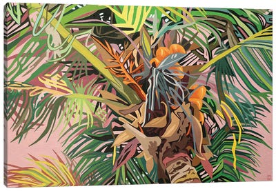 Palm Tree Under A Pink Sky Canvas Art Print - Christophe Carlier