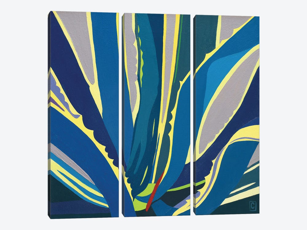 Maguey Close-Up by Christophe Carlier 3-piece Canvas Print