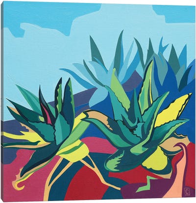 Crazy Aloe Canvas Art Print - Christophe Carlier