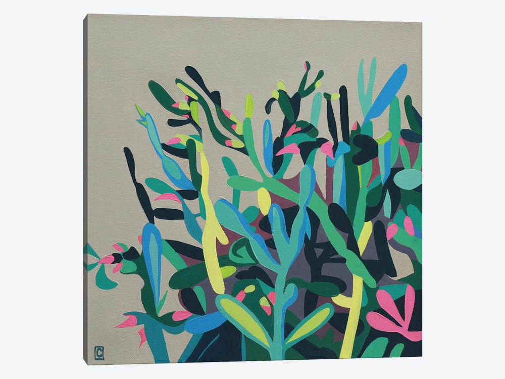 Nopal Shapes by Christophe Carlier 1-piece Canvas Print