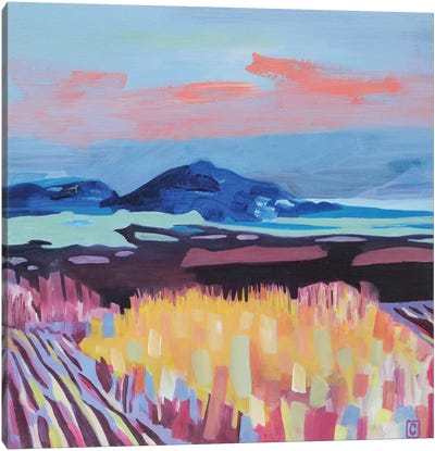 Janitzio's Island Canvas Art Print - Pops of Pink