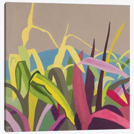La Milpa Creciendo (The Corn's Growing) Canvas Print #CCZ60} by Christophe Carlier Canvas Print
