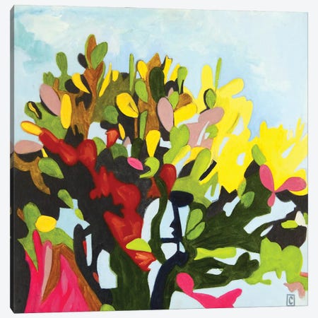 Nopal (Cactus) Canvas Print #CCZ64} by Christophe Carlier Canvas Art