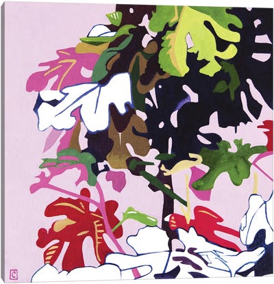 La Higuera De Mi Camino (The Fig Tree Of My Path) Canvas Art Print - Christophe Carlier