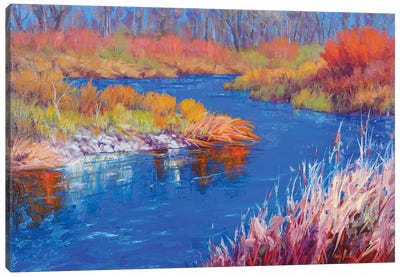 January On The Verde Canvas Art Print - Cody DeLong