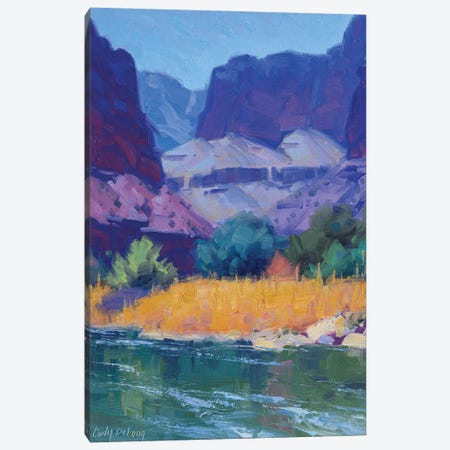 Cool Light In The Canyon Canvas Print #CDG7} by Cody DeLong Canvas Art Print