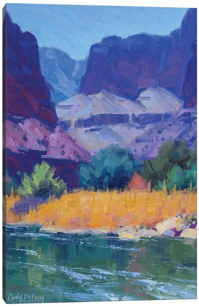 Cool Light In The Canyon Canvas Art Print - Canyon Art