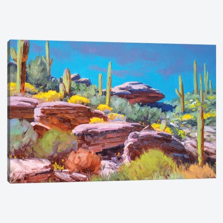 Desert Bloom Canvas Print #CDG9} by Cody DeLong Canvas Wall Art