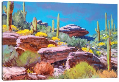 Desert Bloom Canvas Art Print - Cody DeLong
