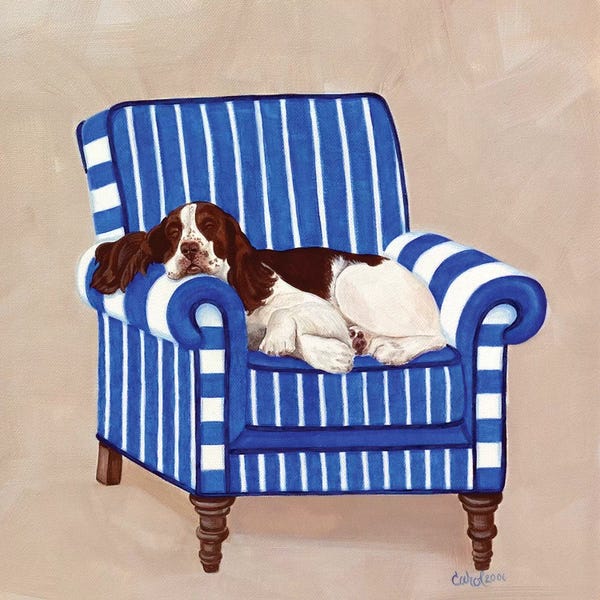 Spaniels: Springer on Blue by Carol Dillon