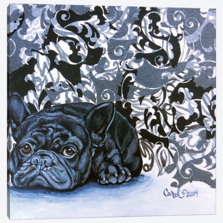Playful Pup V Canvas Print #CDL23} by Carol Dillon Canvas Wall Art
