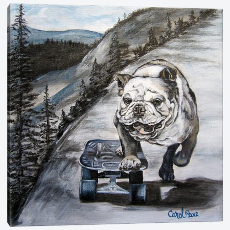 Playful Pup XI Canvas Print #CDL28} by Carol Dillon Canvas Art