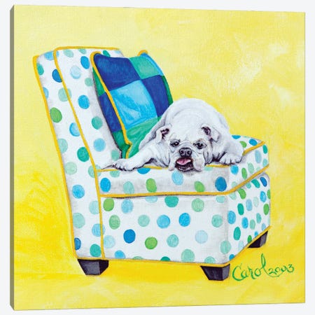 Bulldog on Polka Dots Canvas Print #CDL2} by Carol Dillon Canvas Print