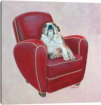 Bulldog on Red Canvas Art Print