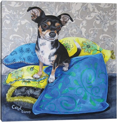 Chihuahua Pillows II Canvas Art Print
