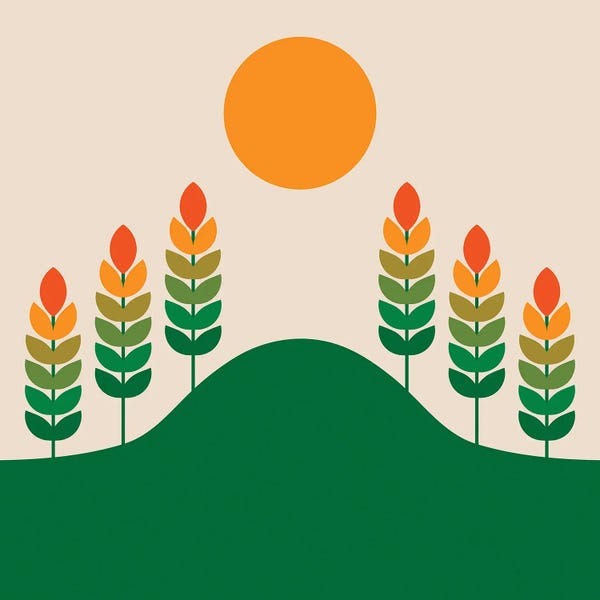 Fields, Grasslands & Meadows: Field Study by Circa 78 Designs