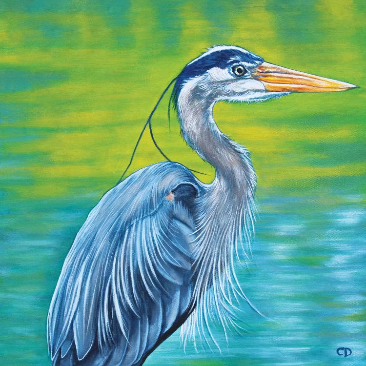 Great Blue Heron