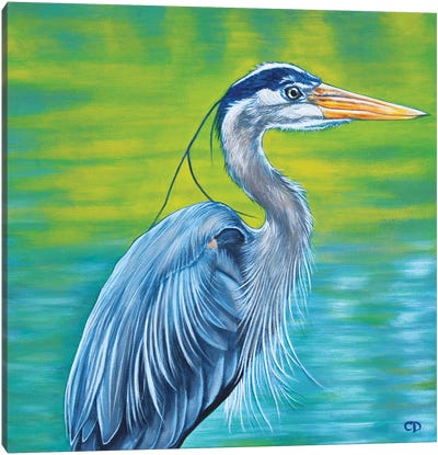 Great Blue Heron Canvas Art Print - Cyndi Dodes