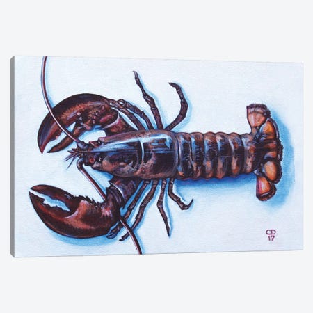 Larry The Lobster Canvas Print #CDO16} by Cyndi Dodes Canvas Print