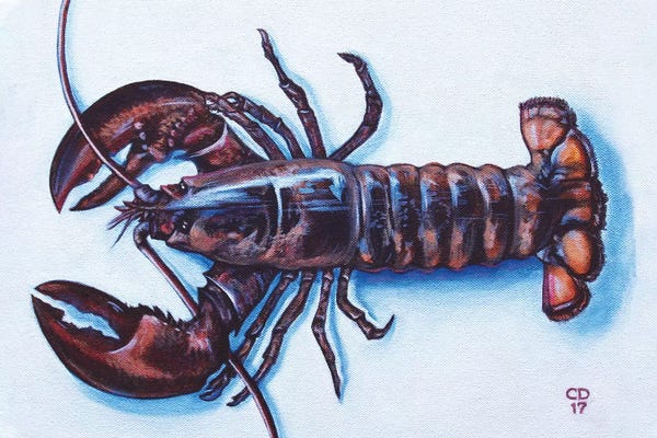 Cyndi Dodes: Larry The Lobster by Cyndi Dodes