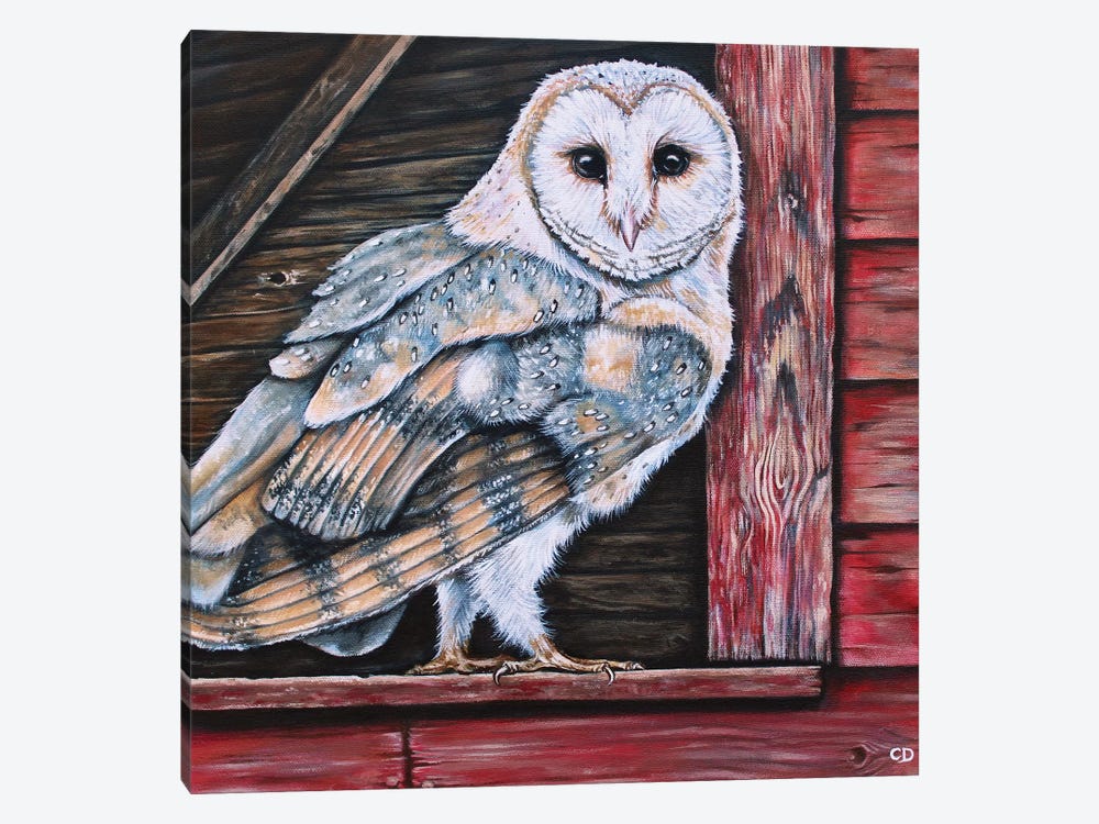 Barn Owl by Cyndi Dodes 1-piece Canvas Artwork