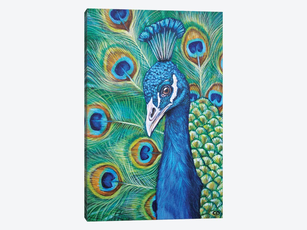 Peacock by Cyndi Dodes 1-piece Canvas Wall Art
