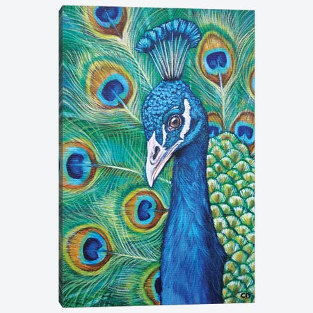 Peacock Canvas Print #CDO21} by Cyndi Dodes Canvas Art Print