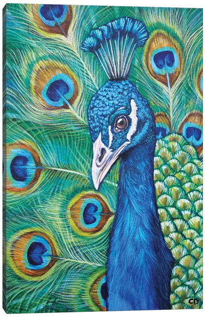 Peacock Canvas Art Print - Cyndi Dodes