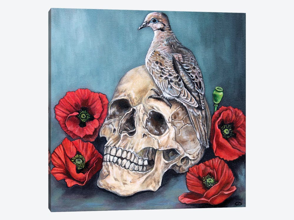 Skull With Dove And Poppies by Cyndi Dodes 1-piece Canvas Wall Art