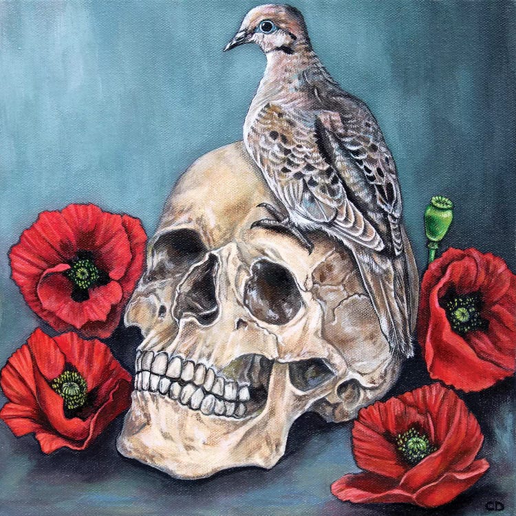 Skull With Dove And Poppies