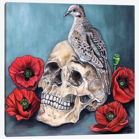 Skull With Dove And Poppies Canvas Print #CDO25} by Cyndi Dodes Canvas Wall Art