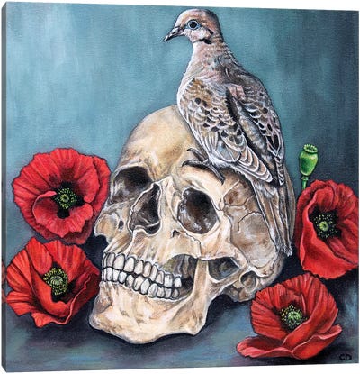Skull With Dove And Poppies Canvas Art Print - Cyndi Dodes