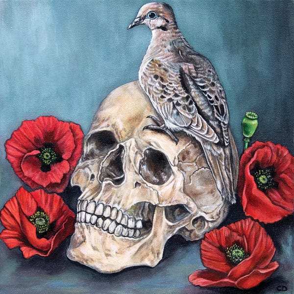 Doves & Pigeons: Skull With Dove And Poppies by Cyndi Dodes