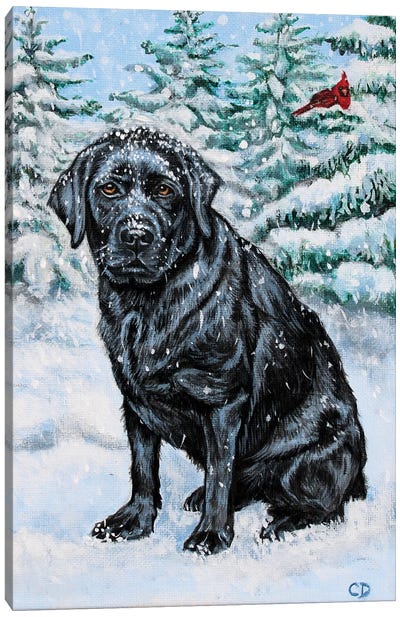Snowy Black Lab Canvas Art Print - Labrador Retriever Art