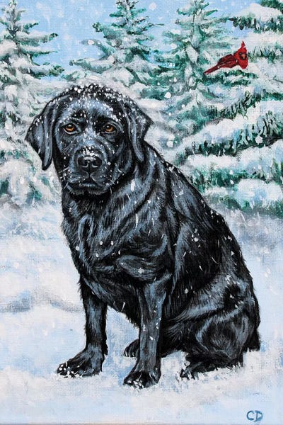 Labrador Retrievers: Snowy Black Lab by Cyndi Dodes