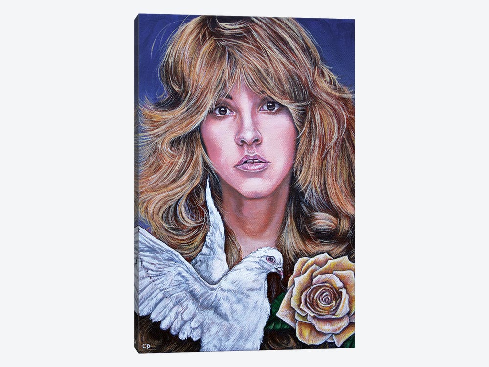 Stevie Nicks by Cyndi Dodes 1-piece Canvas Art