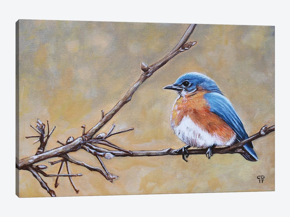 Bluebird by Cyndi Dodes 1-piece Canvas Art Print