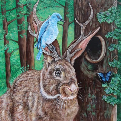 The Jackalope by Cyndi Dodes canvas print