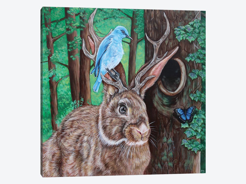 The Jackalope by Cyndi Dodes 1-piece Canvas Art