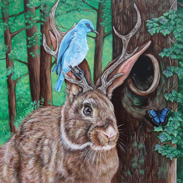 Cyndi Dodes: The Jackalope by Cyndi Dodes